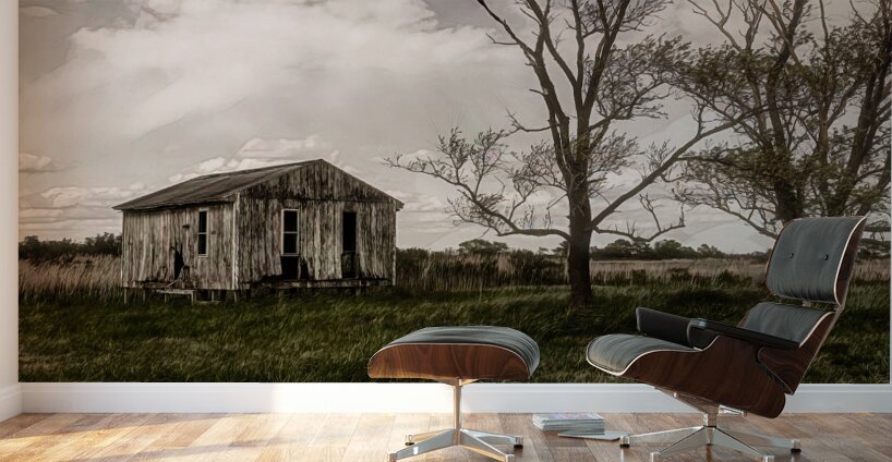 Virginia Eastern Shore Shack Wall Murals