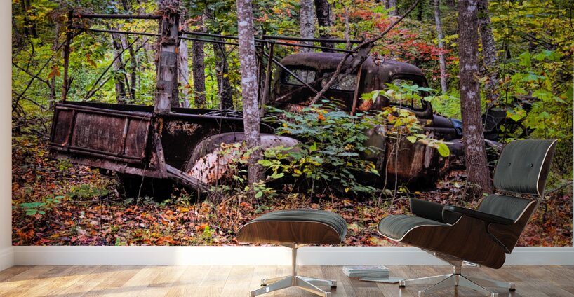 Wrong Way Home Wall Murals