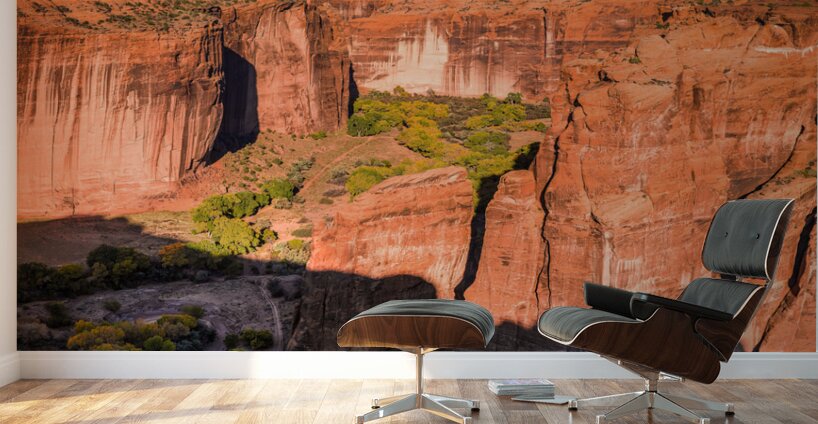 Autumns Embrace: A Morning Reverie at Canyon de Chelly Wall Murals