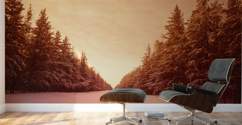 Winter Road Through Pine Forest Wall Murals