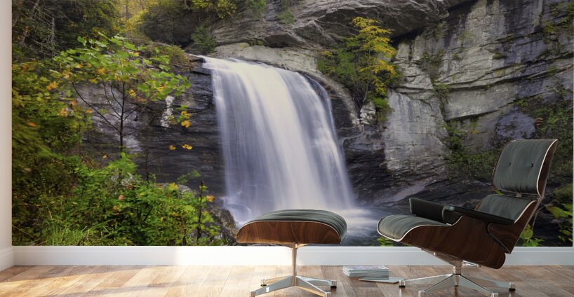 Looking Glass Falls in Autumn Wall Murals