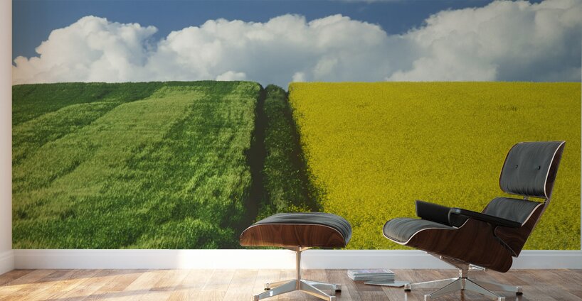 Path Through Barley and Canola Wall Murals