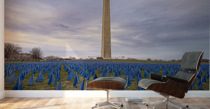 Flag DIsplay Wall Murals