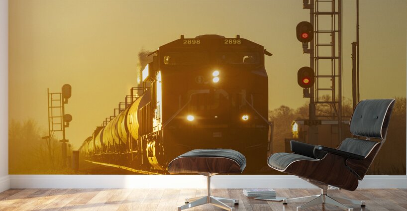 Passing the Rail Signal Wall Murals