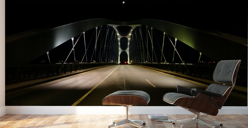 Frankfurt Bridge Wall Murals