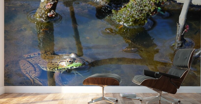 Swamp Life - Rocky River Reservation Wall Murals