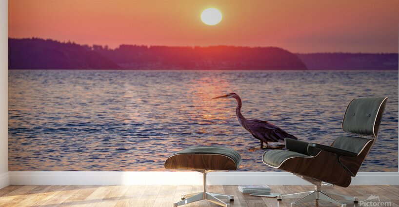 Blue Heron Sunrise Wall Murals