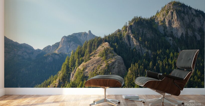 Light in the Olympics Wall Murals