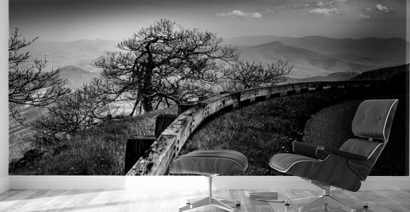 Blue Ridge Curves are the Best Wall Murals