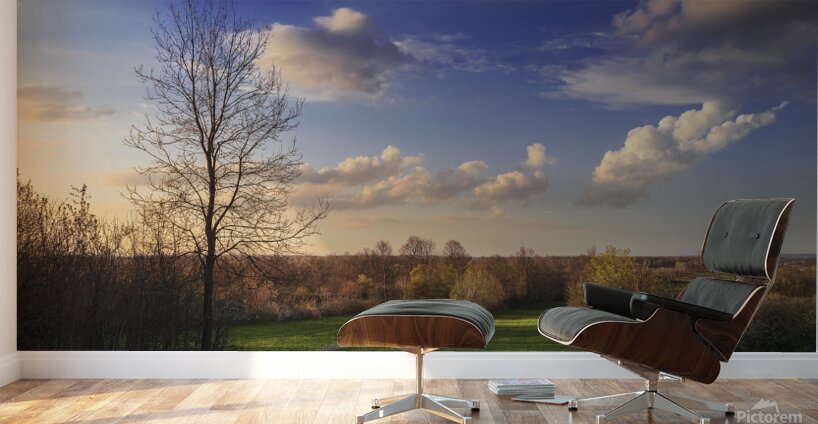 The first signs of spring in the field Wall Murals