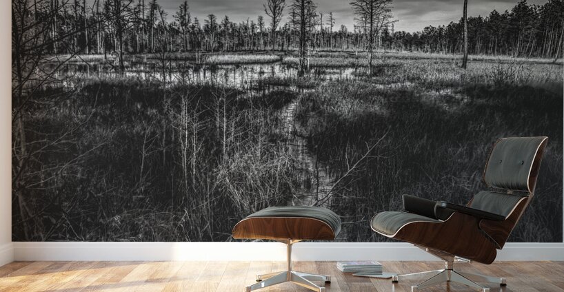 Pathway Through the Marsh Wall Murals