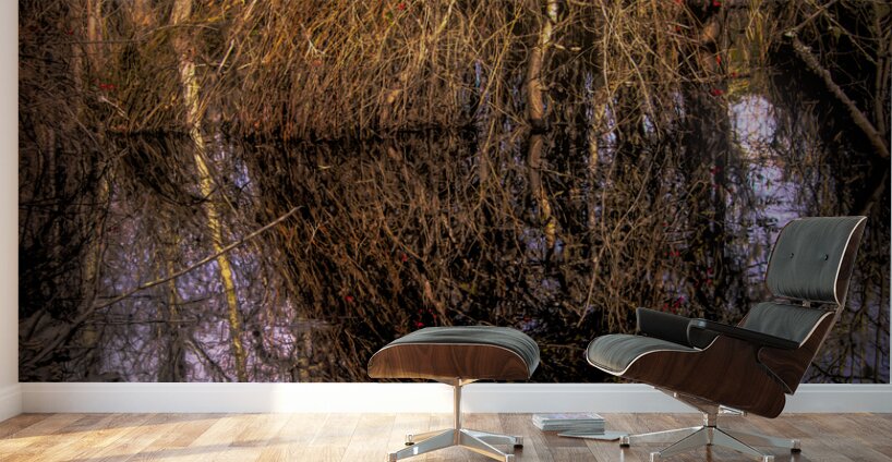 Marsh Colors of Winter Wall Murals