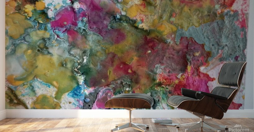 burst Wall Murals