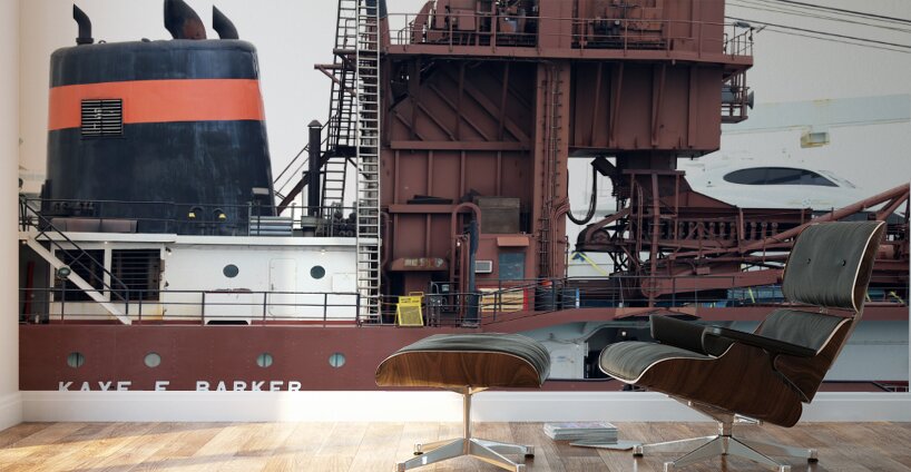 Kaye E. Barker Closeup 2 060221 Wall Murals