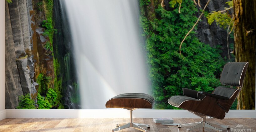 Toketee Falls 2x5 Wall Murals