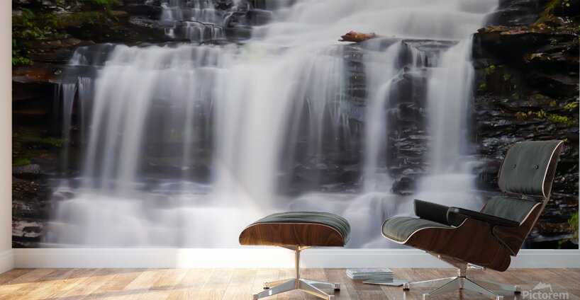 Ricketts Glen Ganoga Wall Murals