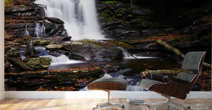 Ricketts Glen 5 Wall Murals