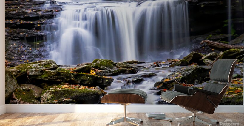 Ricketts Glen 6 Wall Murals