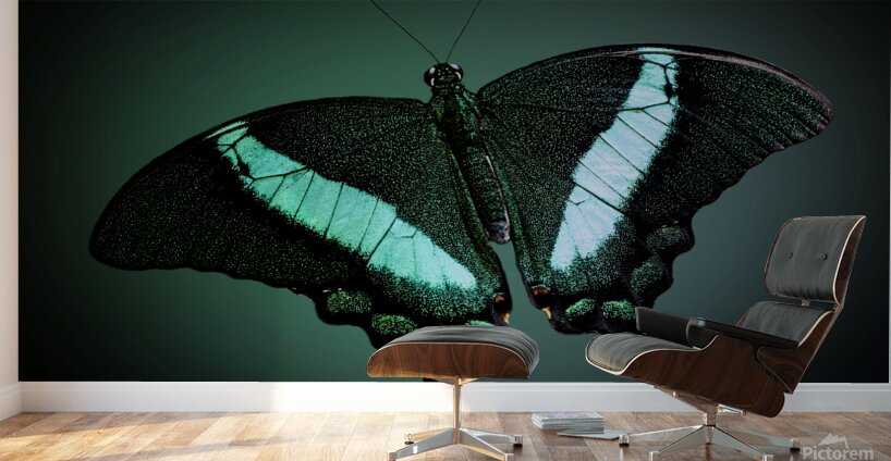 Emerald Beauty Wall Murals