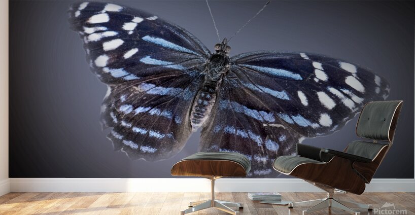 And Im Feeling Blue Wall Murals