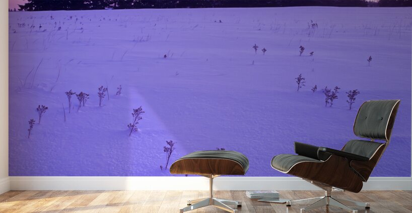 Winter Morning Wall Murals