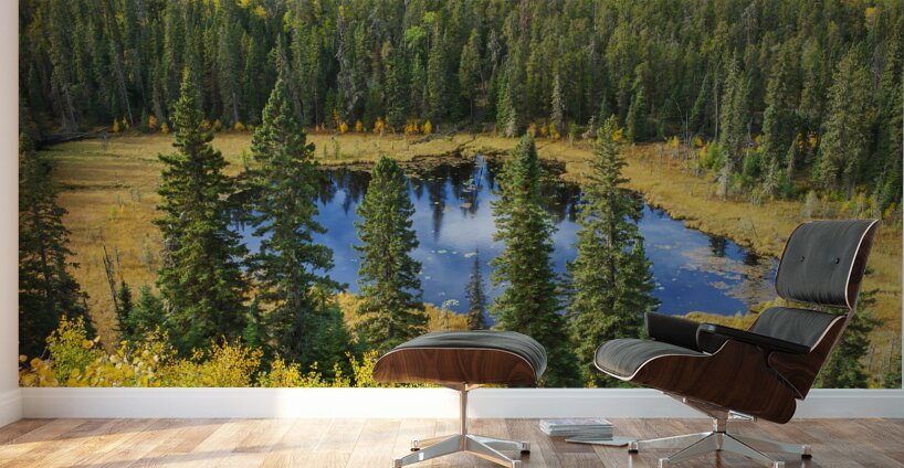 Boggy Lake Wall Murals