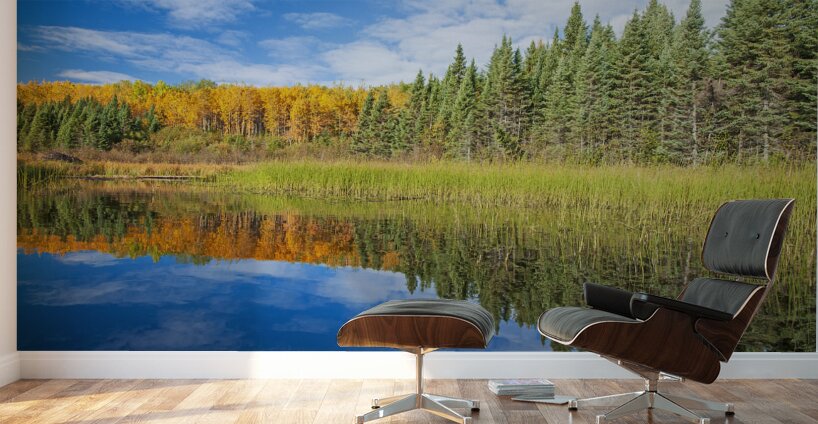 Autumn Colours Along Lake Wall Murals