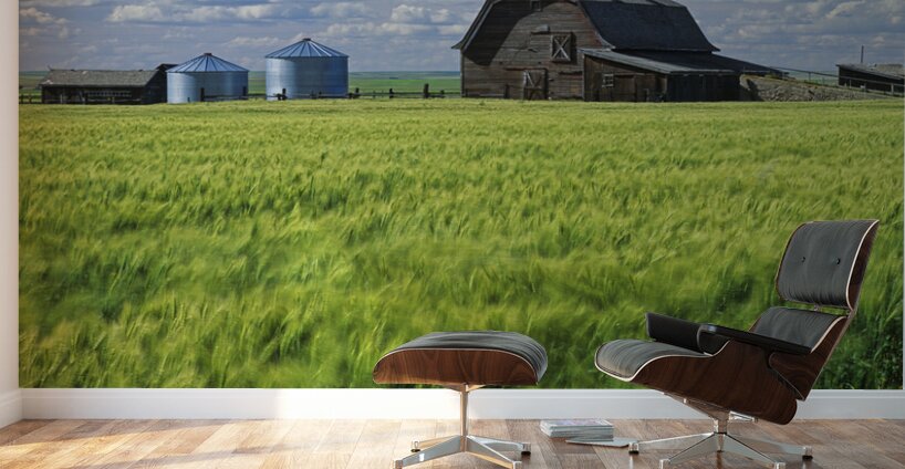 Abandoned Farm Wall Murals