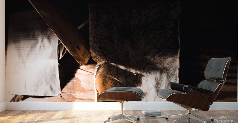 EOS 9541 copy Wall Murals