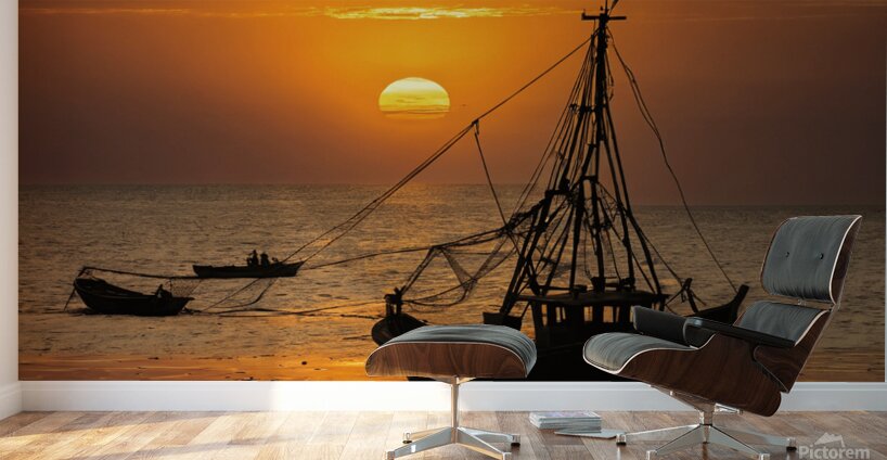 Fading Sunlight  Wall Murals