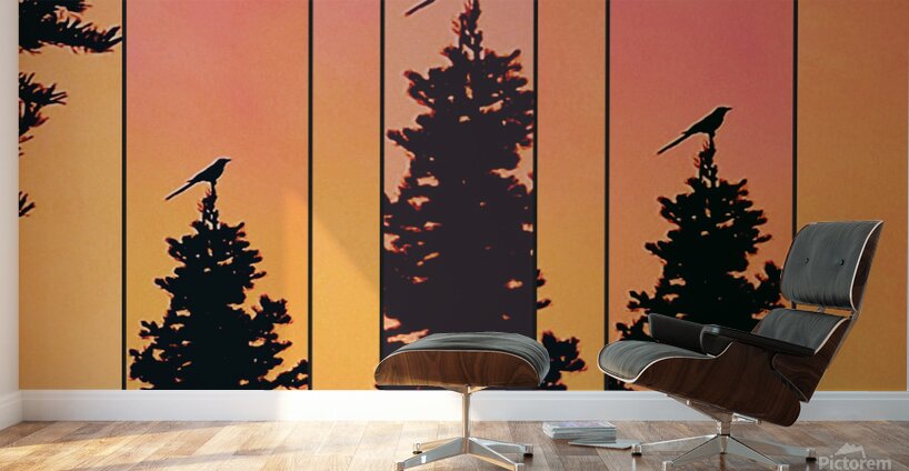 Retro Birds Wall Murals