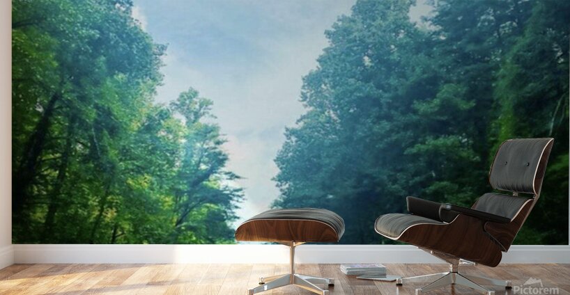 Enchanted Arboreal Journey  Wall Murals