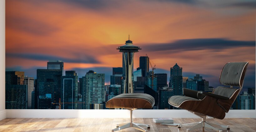 Kerry Park Wall Murals