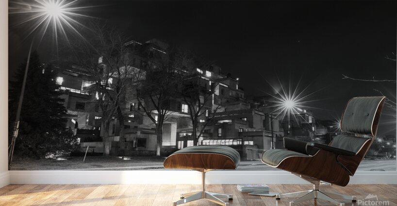 IMG 1826 Wall Murals