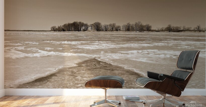 Frozen River Wall Murals