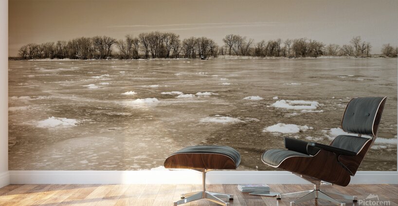 Frozen River Wall Murals