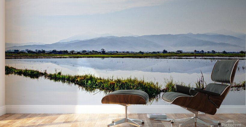 Nueva Ecija-Rice Patties 7571 Wall Murals