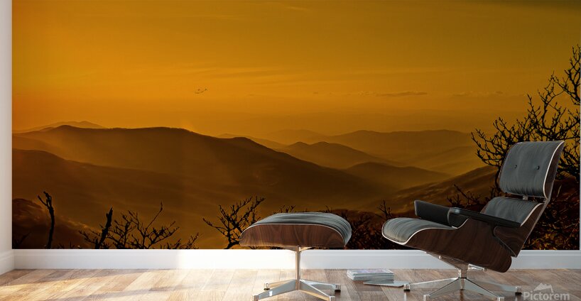 Craggy Gardens Sunset Wall Murals