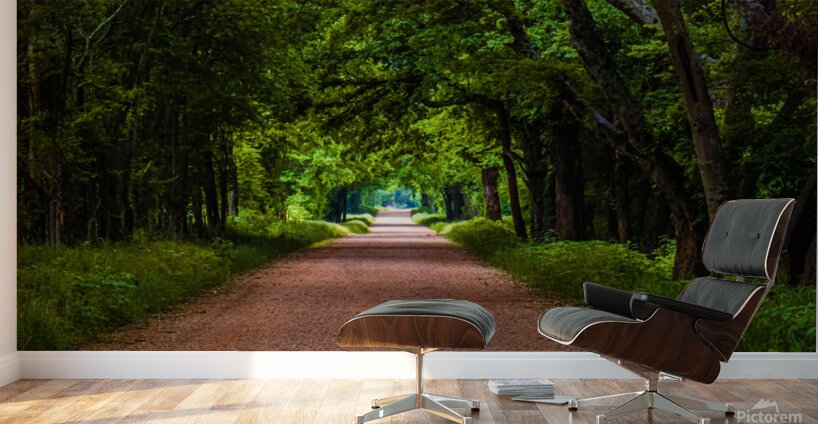 Alabama Backroad Wall Murals