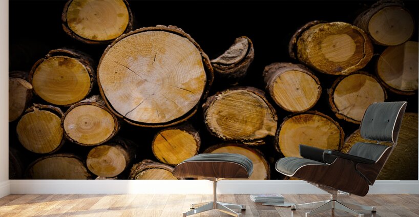 Stacked logs  Wall Murals