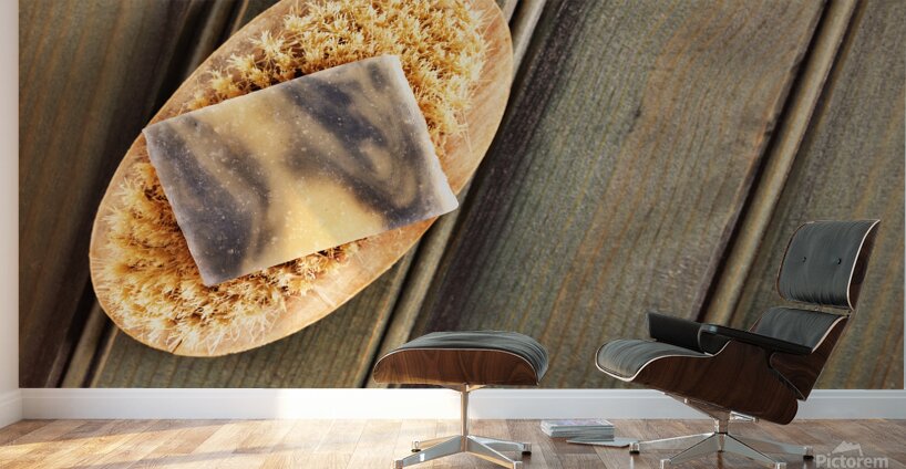 Soap bar and bristle brush Wall Murals