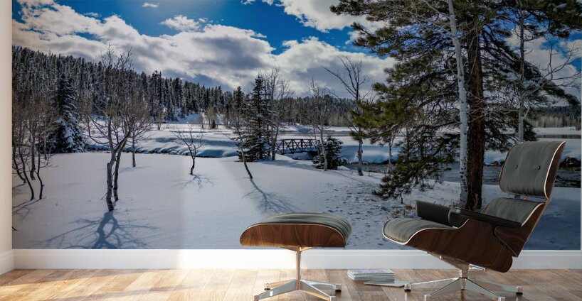 Aspen  Wall Murals
