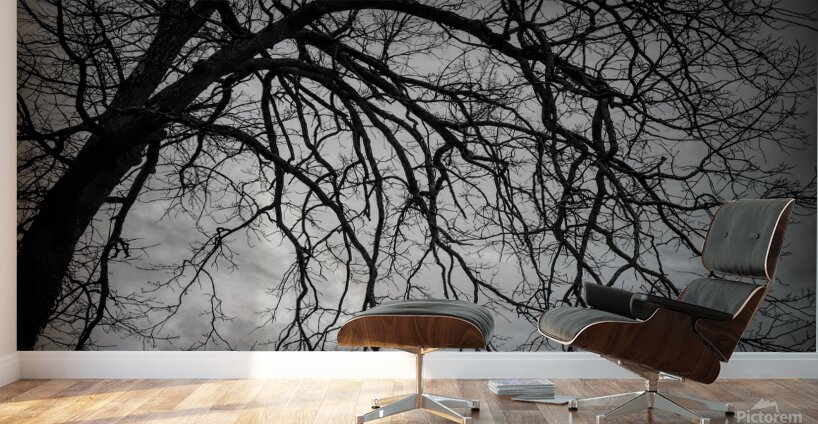 The Naked Tree Silhouette Wall Murals