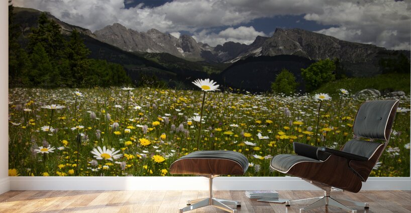 Dolomite Wild Flower Heaven Wall Murals