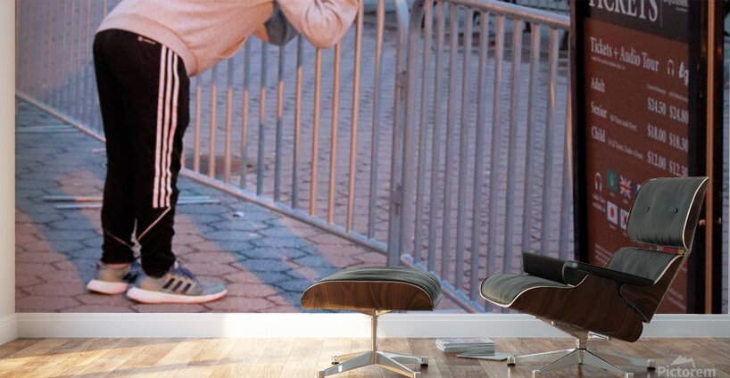 Evening in NY  The Photographer Wall Murals