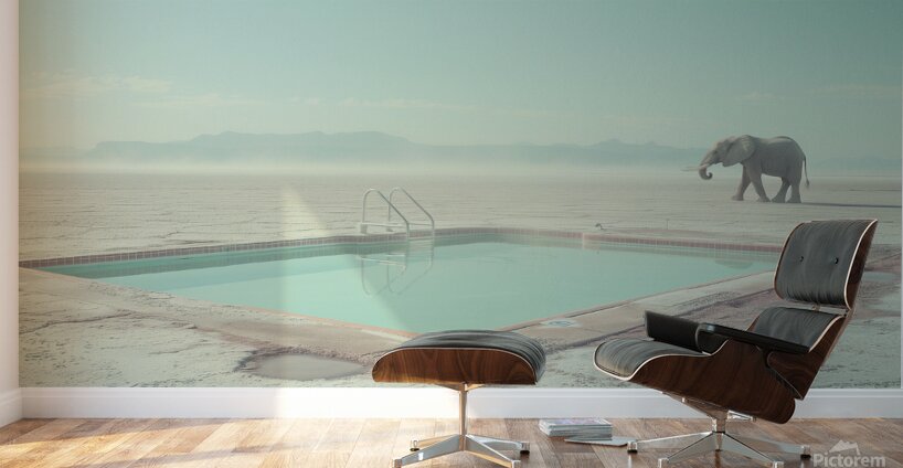 Elephant by the Pool  Wall Murals