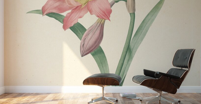 QVT 1088 – Vintage Floral Illustration French.j Wall Murals