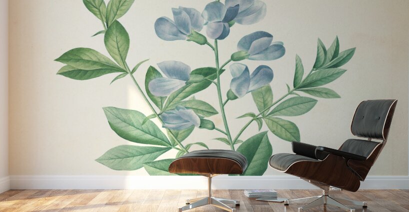 QVT 1085 – Vintage Floral Illustration French.j Wall Murals