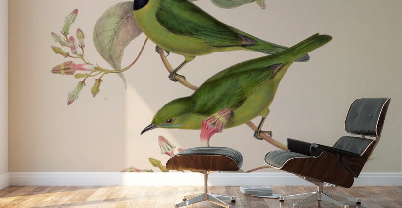 QVT 1093 – Vintage Illustrations from Birds of Wall Murals