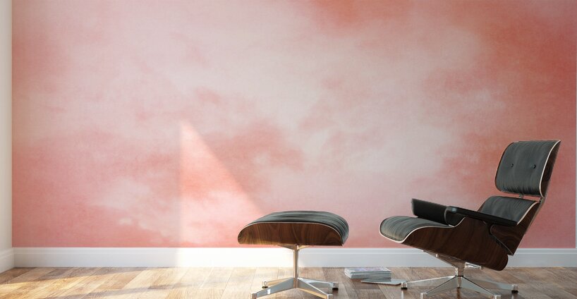 QAB 0062 – Blush Sky Wall Murals